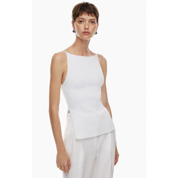 Aritzia Tops - Aritzia BABATON SCULPT KNIT ADVISE Boatneck Top Size Small Ribbed Knit 119130